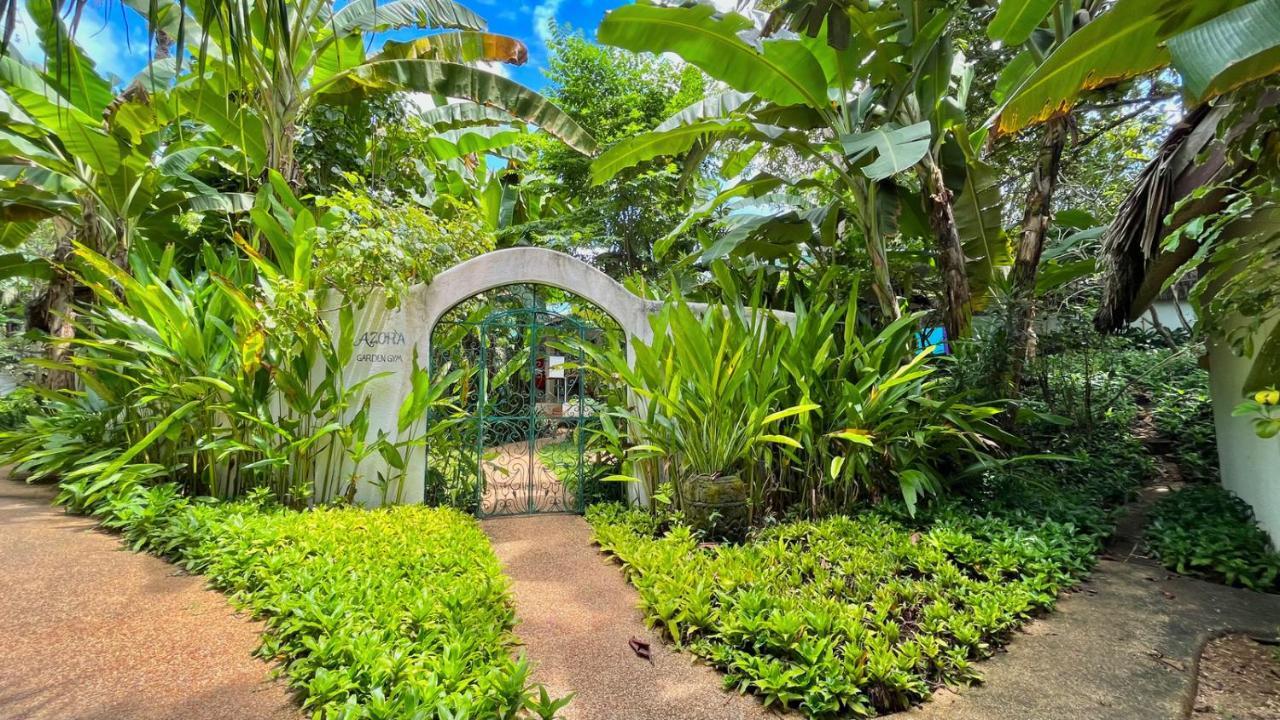 Coco Grove Beach Resort, Siquijor Island ภายนอก รูปภาพ Entrance to the botanical garden